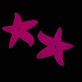 Pingente de Acrílico / 63x70mm - Estrela do Mar (unidade)