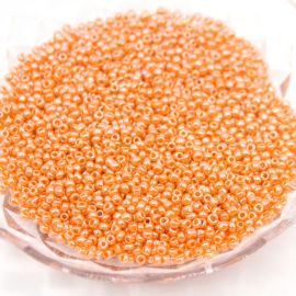 Miçanguinha - Chinês / (9/0) - Lustrosa (10 GRAMAS)