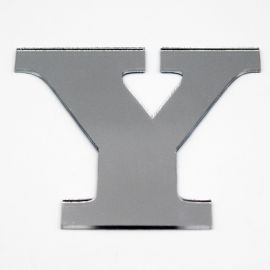 Letras de Acrílico / 8x9cm (G) - (UNIDADE) - Prata - Y