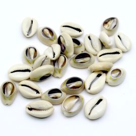 Búzio Ralado Natural / 24x16mm - (10 gramas)