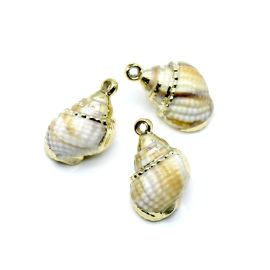 Pingente de Plástico Mesclado / 31x21mm - Caramujo (unidade) - Dourado