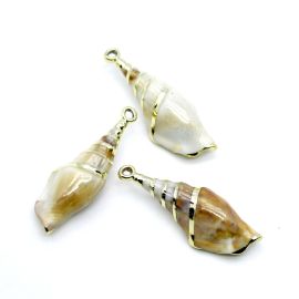 Pingente de Plástico Mesclado / 57x21mm - Caramujo (unidade) - Dourado