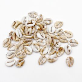 Entremeio de Plastico Mesclado / 18x13mm - Búzio (10 Gramas)