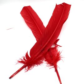 Pena de Pato Pintada (unidade)