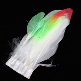 Pena de Ganso Pintada / Rosa e Verde (6 unidades)