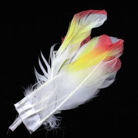 Pena de Ganso Pintada / Rosa e Amarelo (6 unidades)