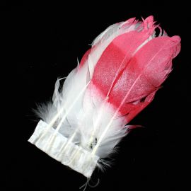 Pena de Ganso Pintada / 15cm - Rosa (6 unidades)