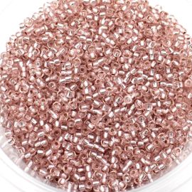 Miçangão Preciosa (6/0) / Transparente com o Miolo Prata (10 gramas)