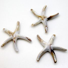 Pingente de Plástico Mesclado / 86x88mm - Estrela do Mar (UNIDADE) - Bege 