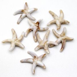 Conta de Plástico Mesclado / 40x43mm - Estrela do Mar (10 gramas) - Bege 