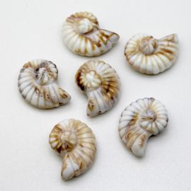 Conta de Plástico Mesclado / 38x30mm - Caramujo (unidade) - Bege