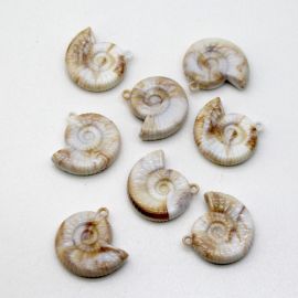 Pingente de Plástico Mesclado / 33x34mm - Caramujo (12 gramas) - Bege