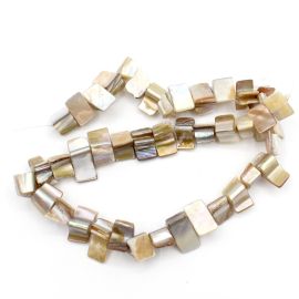 Madrepérola / 8x11mm - Formato Irregular  (01 FIO)