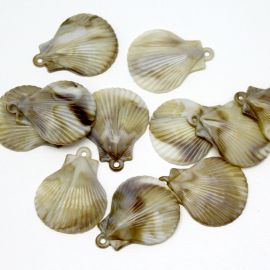 Pingente de Plástico Mesclado / 41x32mm - Concha (10 gramas)