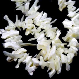 Fio de Madrepérola / 22mm - Irregulares (1 fio com Aprox. 75 unidades)