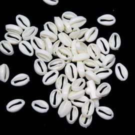 Búzio de Plástico Leitoso / 13x8mm - Sem Furo (10 gramas) - Marfim 