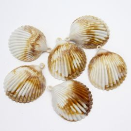 Conta Plástica Mesclada / 52X44mm - Concha (12 gramas) - Bege 