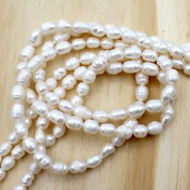 Pérola de Água Doce / 7x6mm - Arroz - Creme (1 FIO)