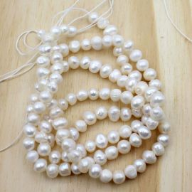 Pérola de Água Doce / 7mm - Creme (1 FIO)