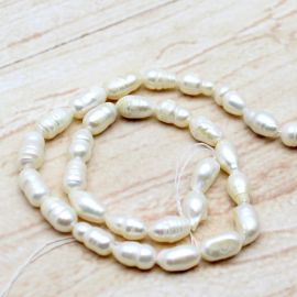 Pérola de Água Doce / 10X6mm - Creme (1 FIO)