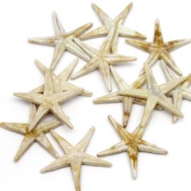 Conta Plástica Mesclada / 40mm - Estrela com Furo Pingente (10 gramas) - Bege 