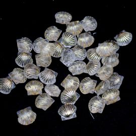 Conta de Plástico Transparente / 13x15mm - Concha com Detalhe Dourado (10 gramas)