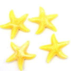 Pingente de Plástico Mesclado / 49x46mm - Estrela do Mar (12 Gramas)-Amarelo