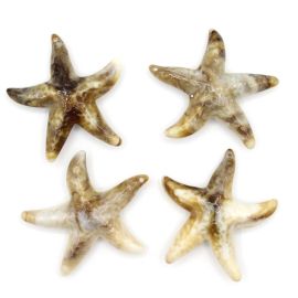 Pingente de Plástico Mesclado / 49x46mm - Estrela do Mar (12 Gramas) - Bege