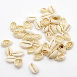 Búzio Natural (G) - Cortado (10 gramas) 