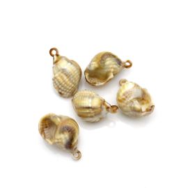 Pingente de Plástico Mesclado / 31x21mm - Caramujo (11 gramas) - Bege