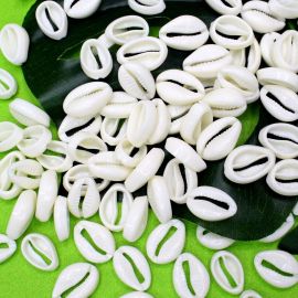 Búzio de Plástico Leitoso / 22x15mm - Sem Furo (10 gramas) - Marfim 