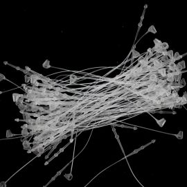 Lacre 8cm  / Plástico Transparente (Pacote com 1000 Unidades)