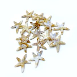 Pingente de Plástico Mesclado / 26X30mm - Estrela do Mar (10 gramas) - Bege