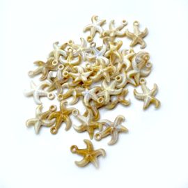 Pingente de Plástico Mesclado / 24X18mm - Estrela do Mar (10 gramas) - Bege